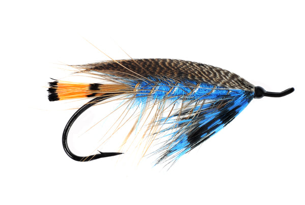 Zech's Heisenberg •Blue•