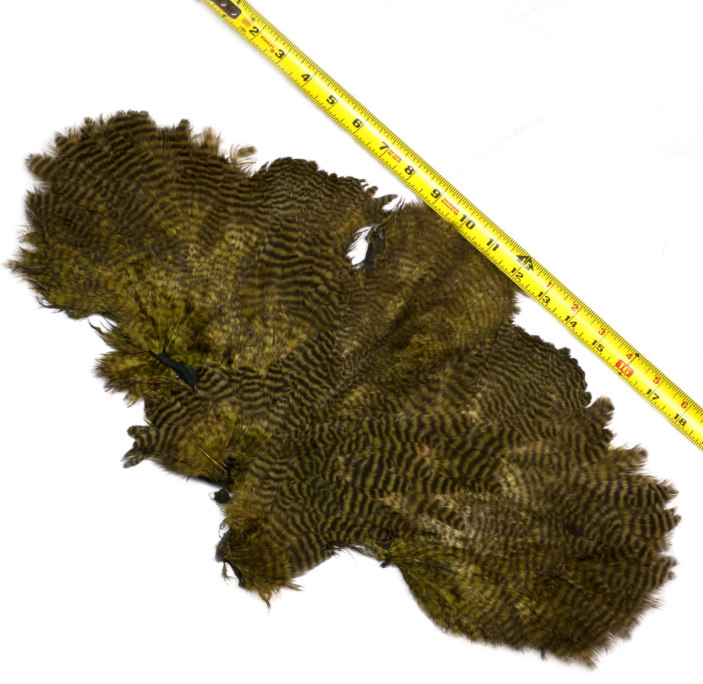 Chevron Hackle - Chickabou Pelt