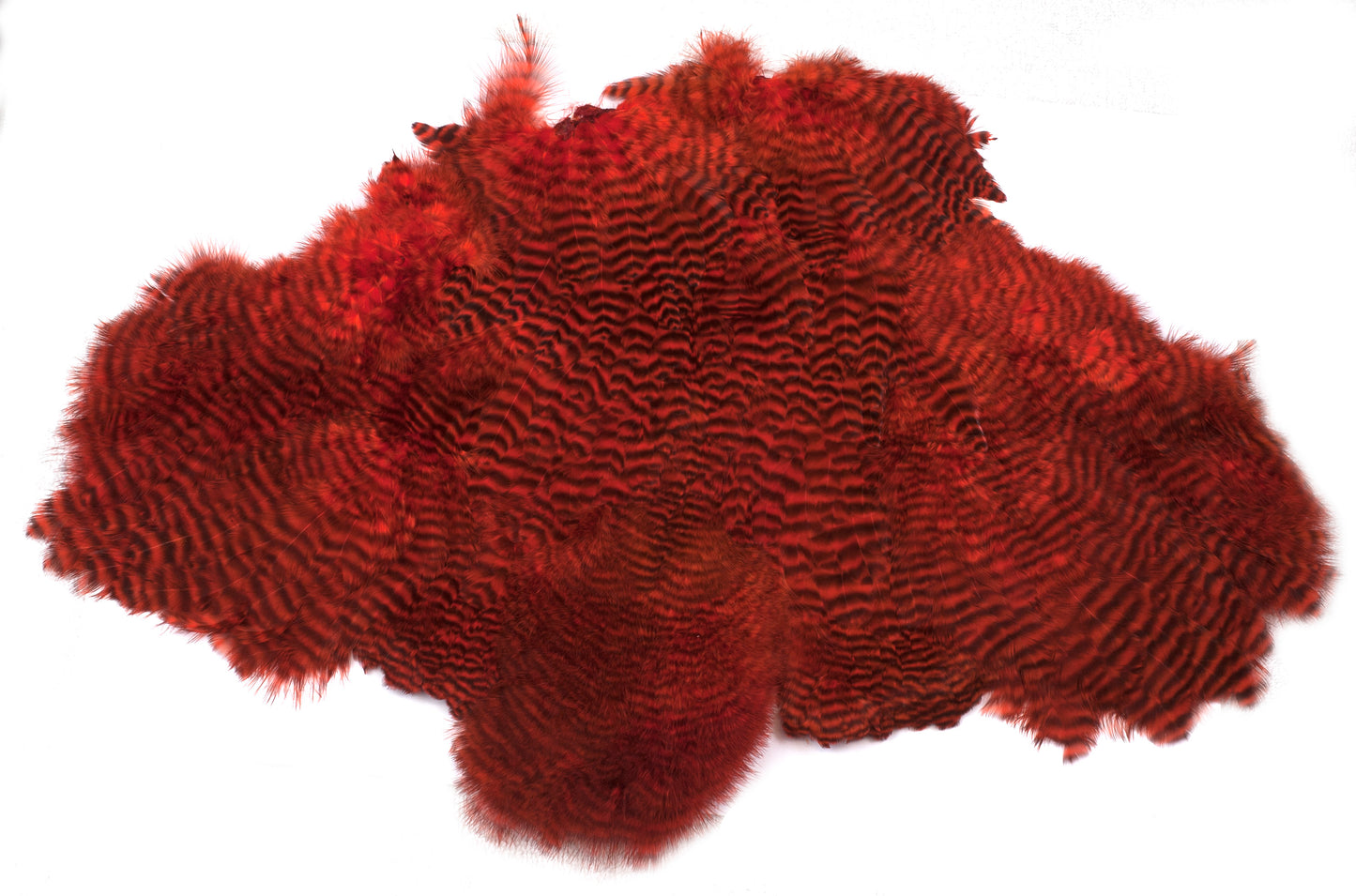 Chevron Hackle - Chickabou Pelt
