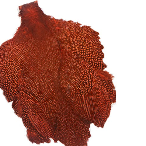 Guinea Skins & More