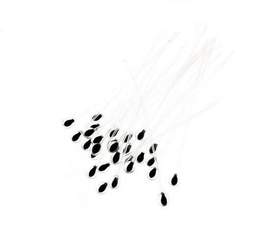 Photo of a 12 Pack Eyes