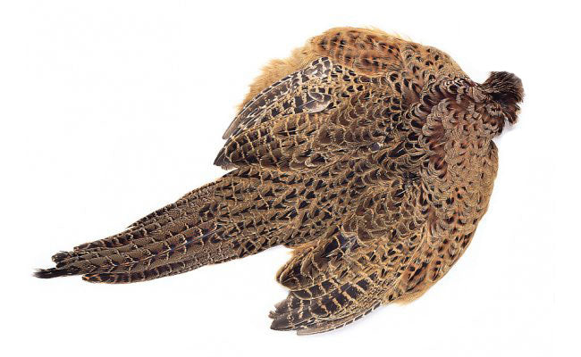 Chevron Hackle - Hen Pheasant