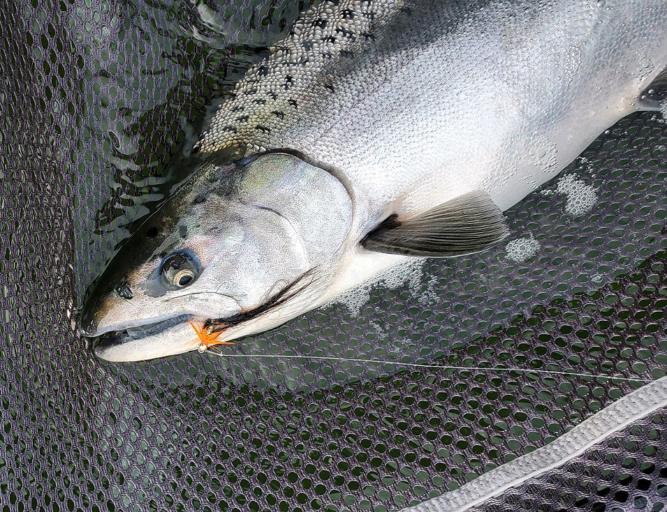 AquaTalon Comet Hook