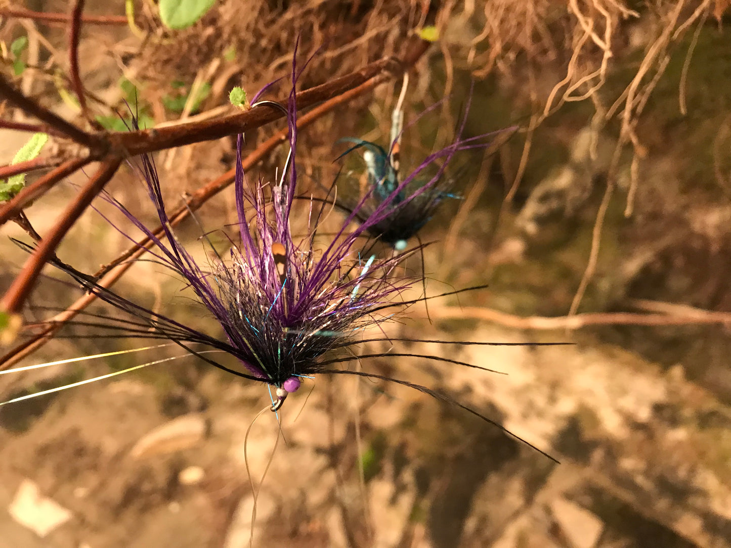 Jerry's Ultra Mini-Intruder •Pink/Orange•