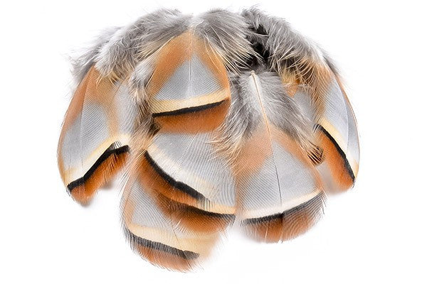 Chevron Hackle - French Partridge Skin