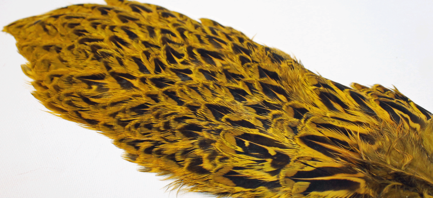 Chevron Hackle - Hen Pheasant Rump Patch