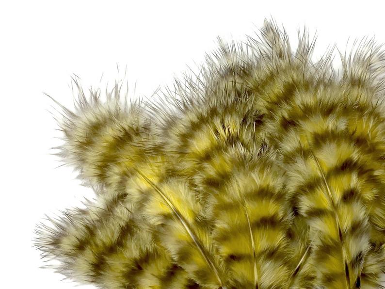 Chevron Hackle - Chickabou Pelt