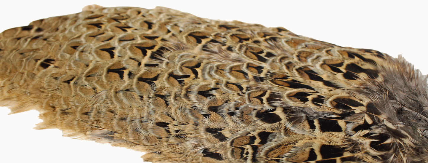 Chevron Hackle - Hen Pheasant Rump Patch