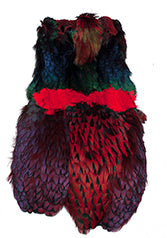 Chevron Hackle - Pheasant Cape