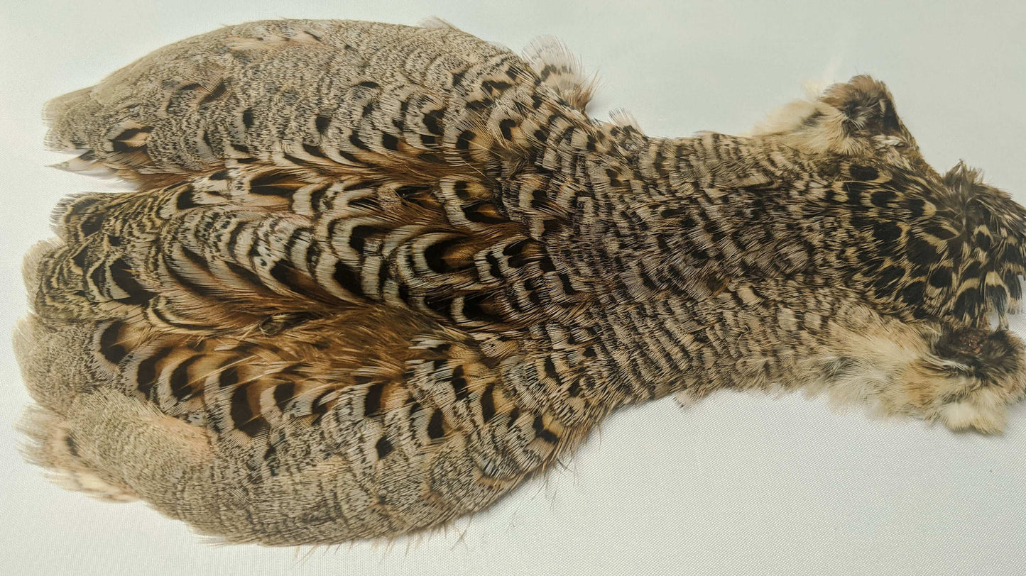 Chevron Hackle - Hen Pheasant Cape