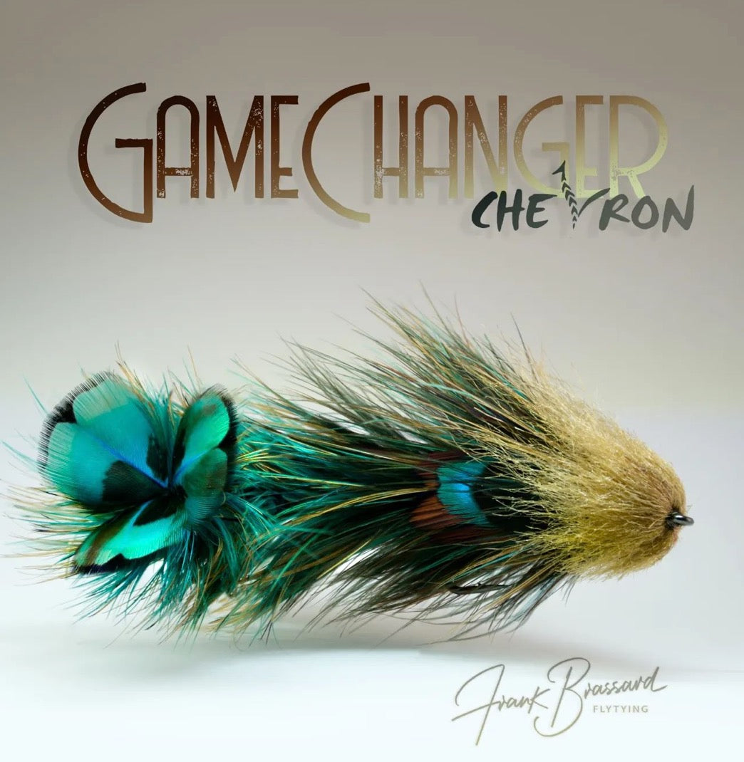 Chevron Hackle - Pheasabou