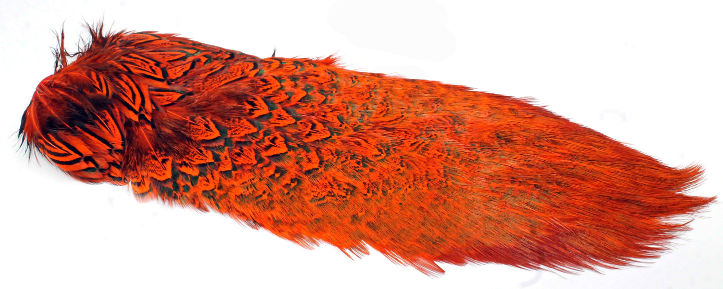 Chevron Hackle - Pheasant Rump Patch